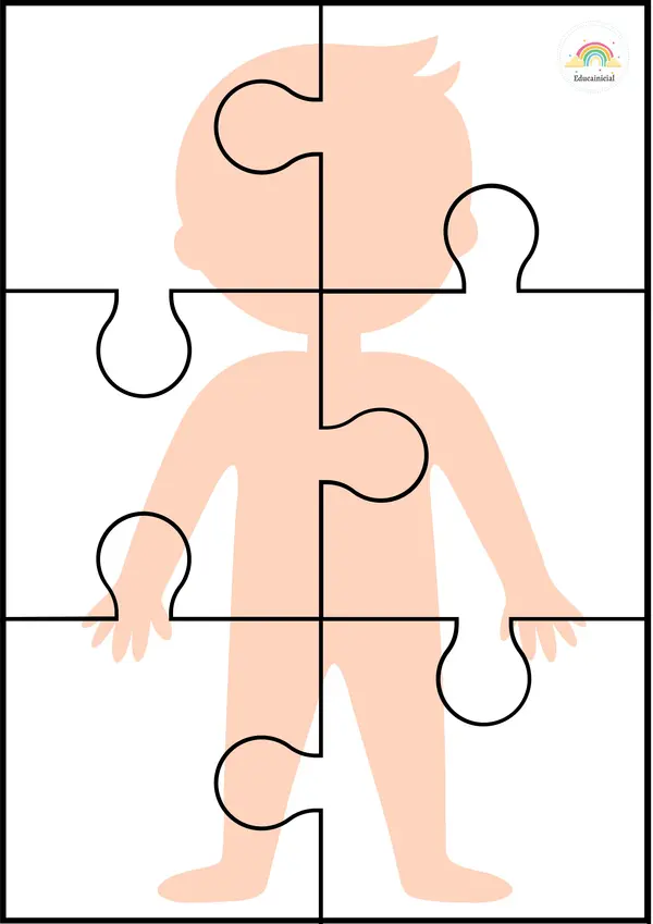 Rompecabezas De Los Sistemas Del Cuerpo Profe Social