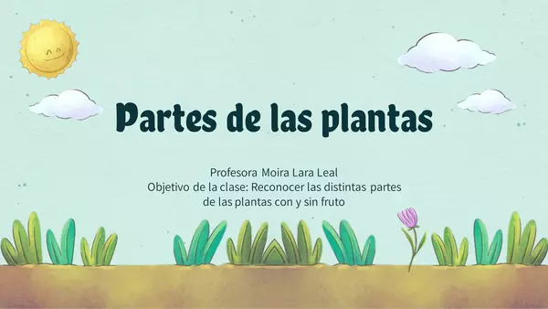 Clase De Repaso Partes De Las Plantas Profe Social