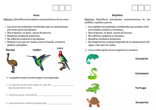 ANIMALES VERTEBRADOS CLASIFICACIÓN profe social