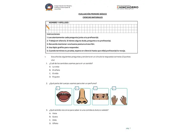 Evaluación de los sentidos primero básico 