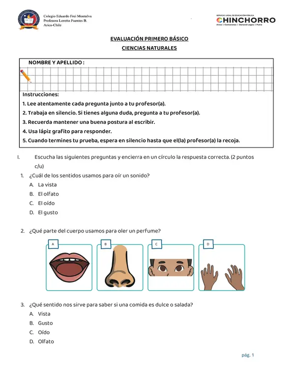 Evaluación de los sentidos primero básico 