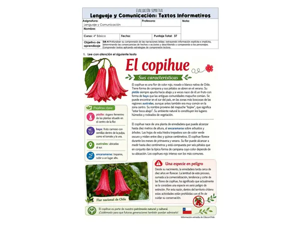 Prueba Textos Informativos 