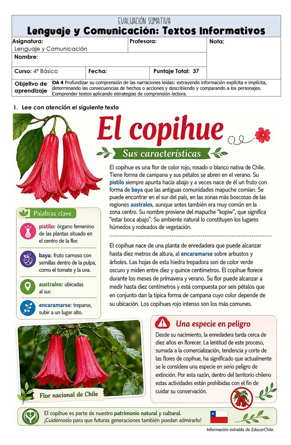 Prueba Textos Informativos 