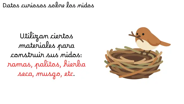 PRIMER DÍA LECCIÓN NIDO 