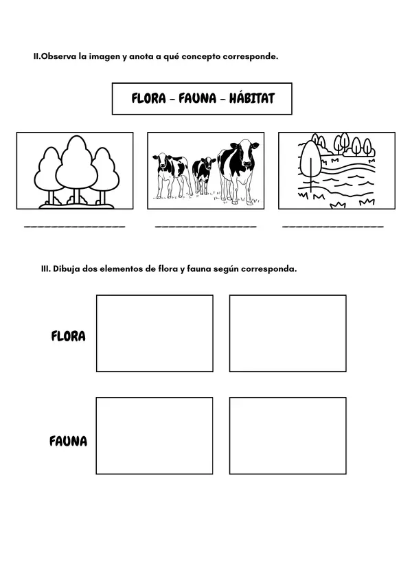 Hábitat, flora y fauna