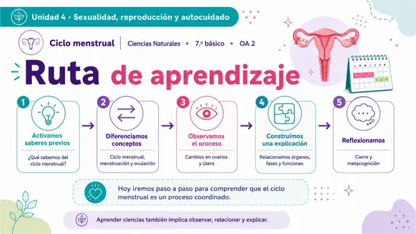 7MO OA 2 CICLO MENSTRUAL 