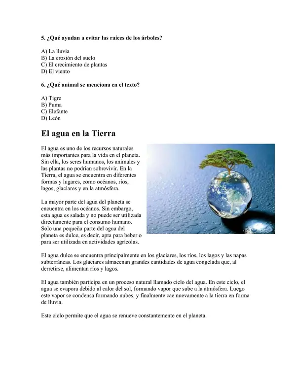 Ensayo SIMCE N°1 de leguaje para 6° Básico 