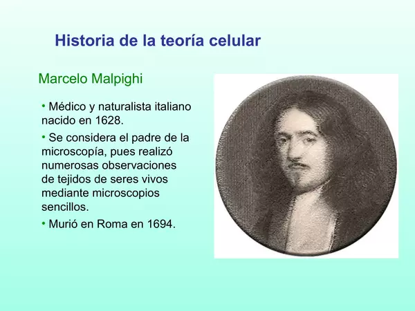 Presentacion Octavo Basico, Historia de la teoria Celular, Cs Naturales
