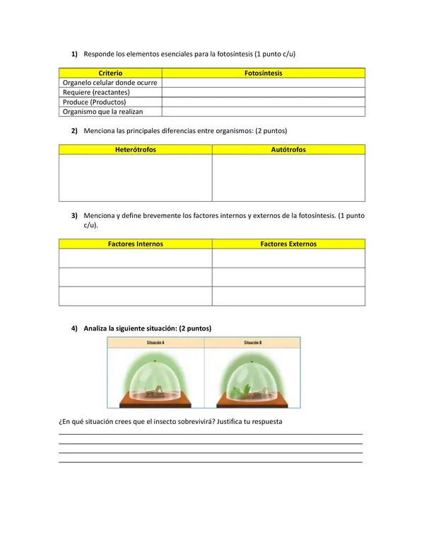 Guía / evaluación fotosíntesis