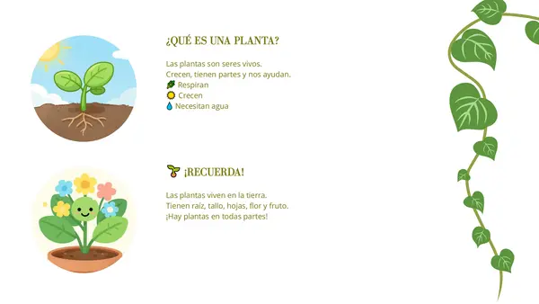 Las plantas: estructura, funciones de sus partes y tipos de plantas
