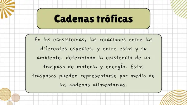 Cadenas tróficas 4° básico
