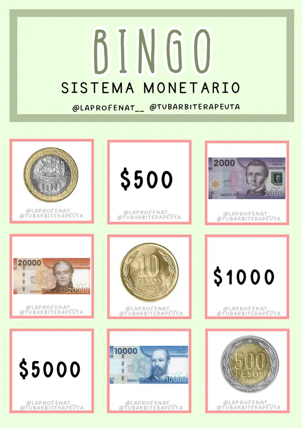BINGO SISTEMA MONETARIO CHILE ft. tubarbiterapeuta