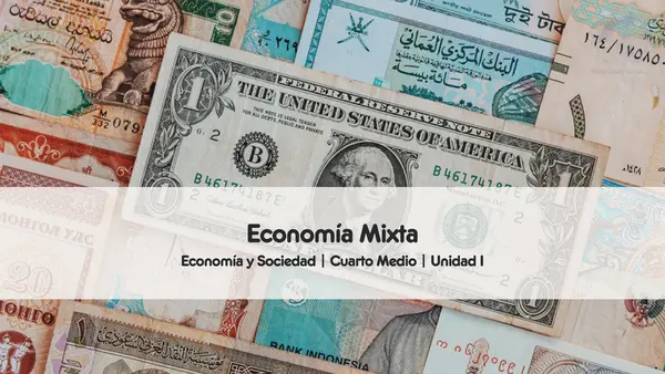 Economía Mixta | Economía y Sociedad