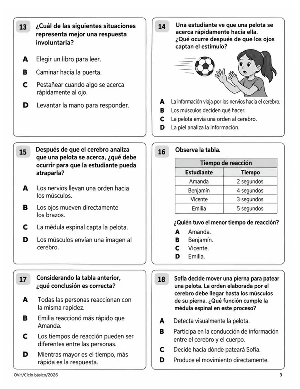 Evaluación Ciencias Naturales 4° Básico | Sistema Nervioso y Efectos del Alcohol