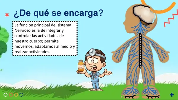 SISTEMA NERVIOSO