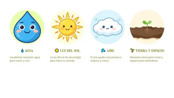 Las plantas: estructura, funciones de sus partes y tipos de plantas