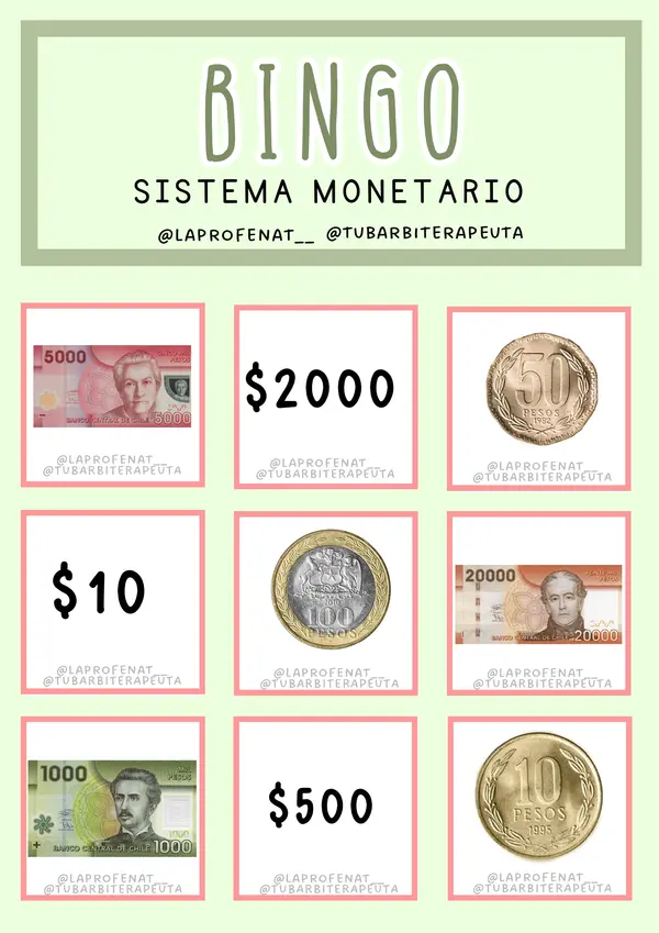 BINGO SISTEMA MONETARIO CHILE ft. tubarbiterapeuta