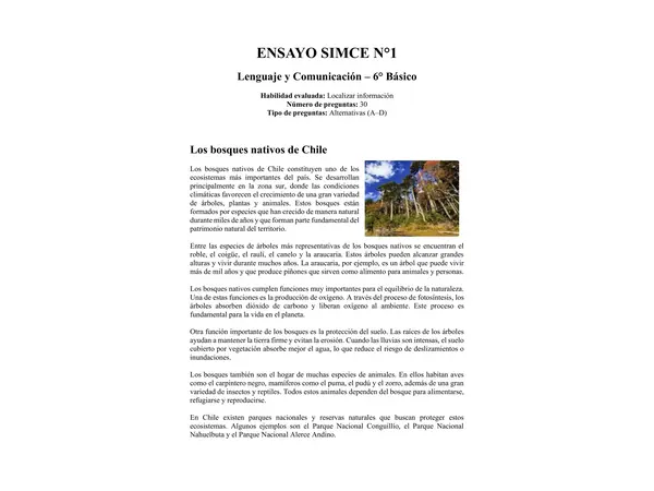 Ensayo SIMCE N°1 de leguaje para 6° Básico 