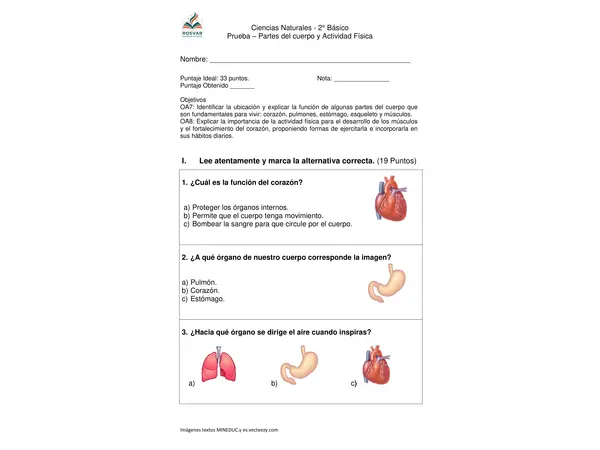 Prueba Partes del cuerpo y actividad Física - Ciencias Naturales 2° Básico - OA7 y OA8