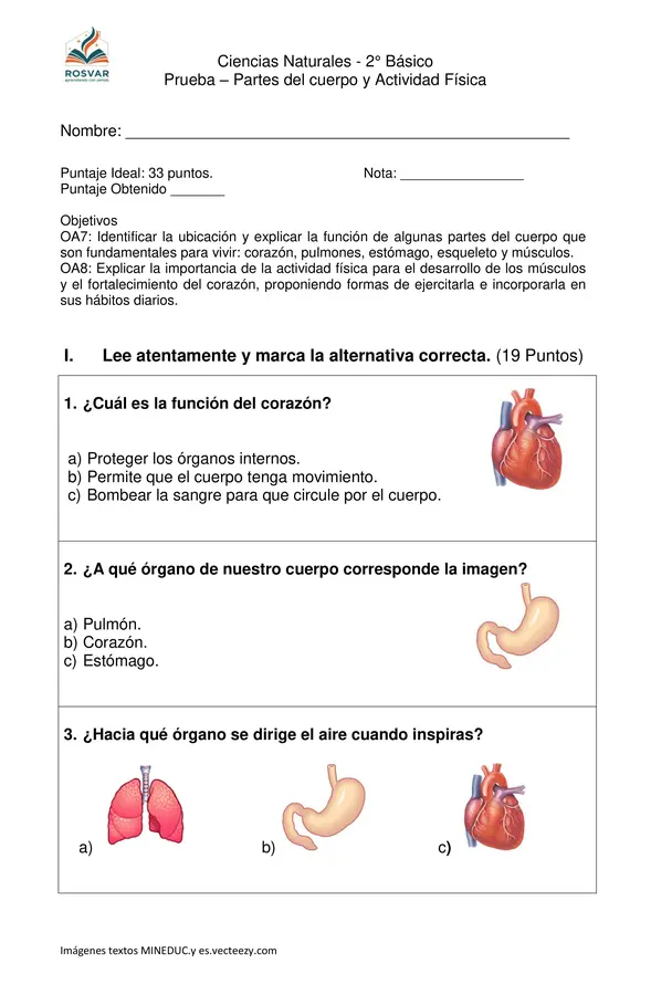 Prueba Partes del cuerpo y actividad Física - Ciencias Naturales 2° Básico - OA7 y OA8
