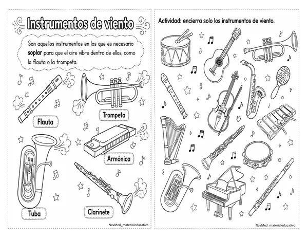 Tipos de instrumentos musicales