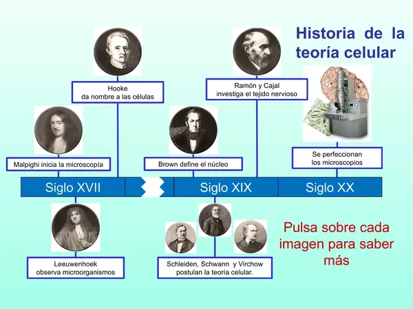 Presentacion Octavo Basico, Historia de la teoria Celular, Cs Naturales