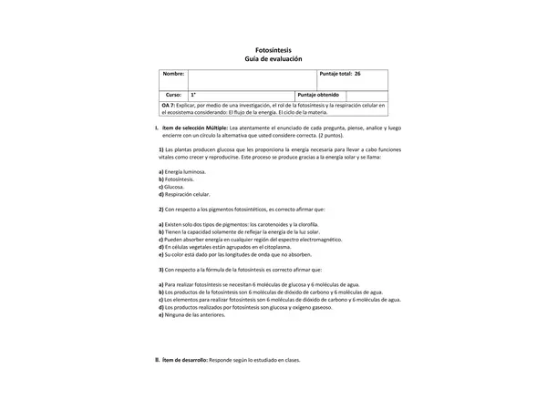 Guía / evaluación fotosíntesis