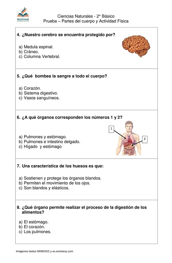 Prueba Partes del cuerpo y actividad Física - Ciencias Naturales 2° Básico - OA7 y OA8
