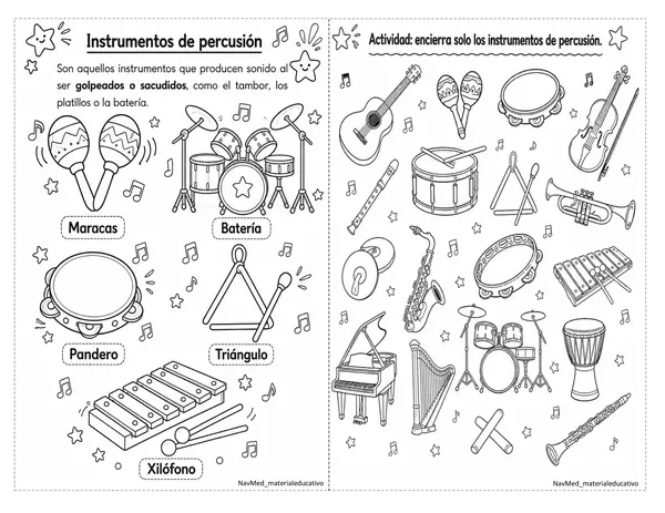 Tipos de instrumentos musicales