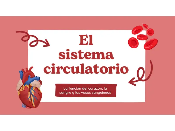 Sistema circulatorio