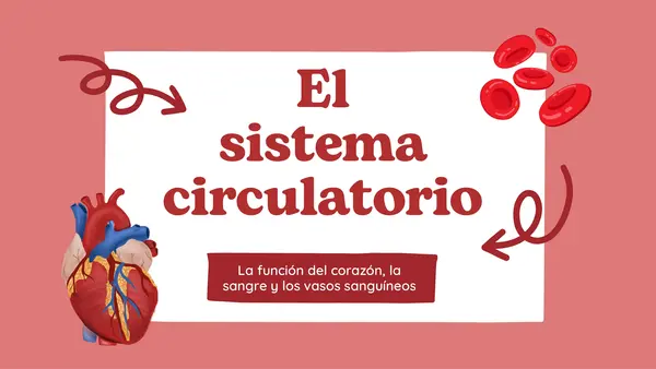 Sistema circulatorio