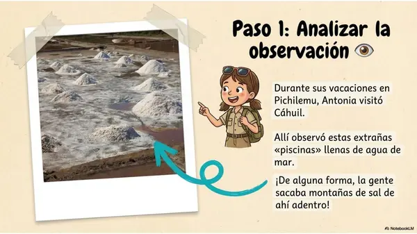 EL MISTERIO DE LA SAL "FORMULACIÓN DE PREGUNTAS DE INVESTIGACIÓN CIENTIFICA"