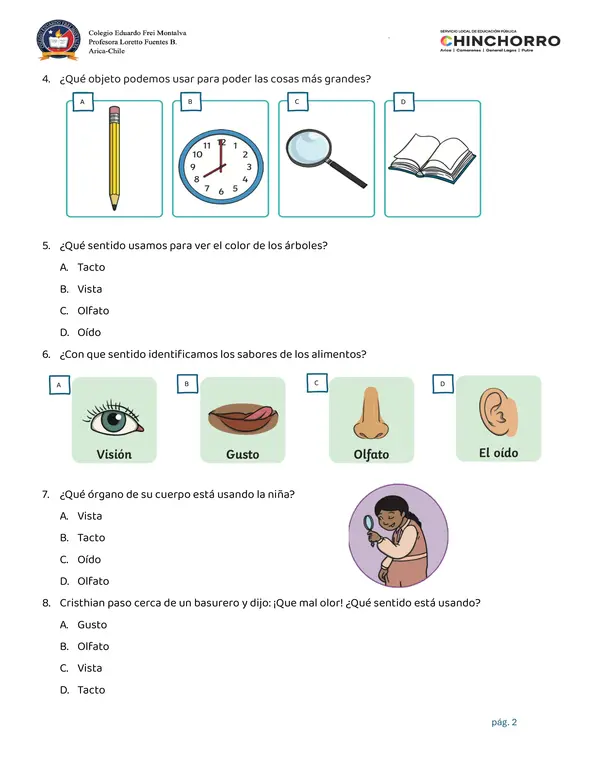 Evaluación de los sentidos primero básico 