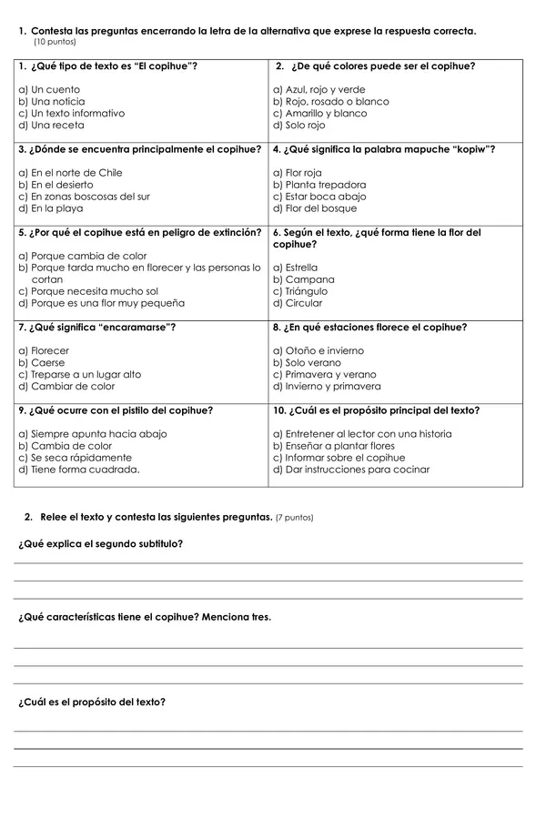 Prueba Textos Informativos 