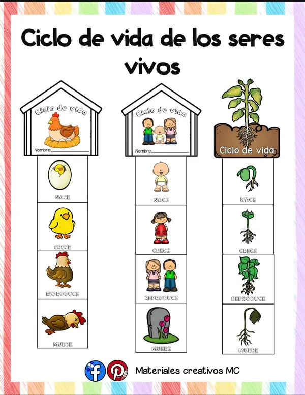CICLO DE VIDA DE LOS SERES VIVOS 