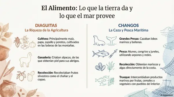 Pueblos Originarios "Diaguitas y Changos"