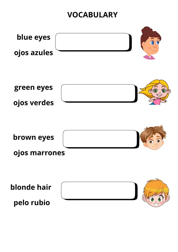 GUIA INGLES SHE HAS, HE HAS, DESCRIPCION