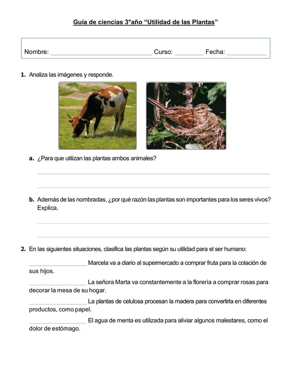 Guía de ciencias 3°año "Utilidad de las Plantas"