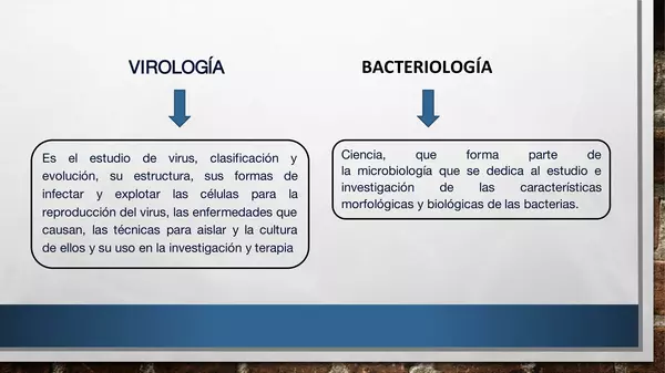 Microbiologia y parasitologia 
