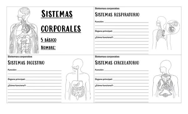 Guia de sistemas corporales - 5 básico