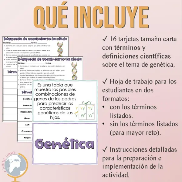 Vocabulario Genética Búsqueda del Tesoro