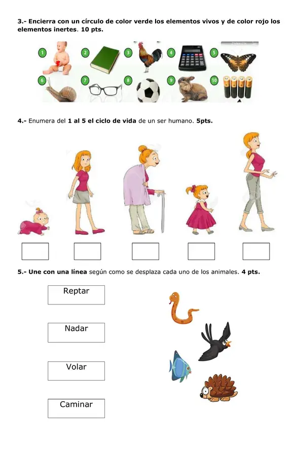 Evaluación de los seres vivos