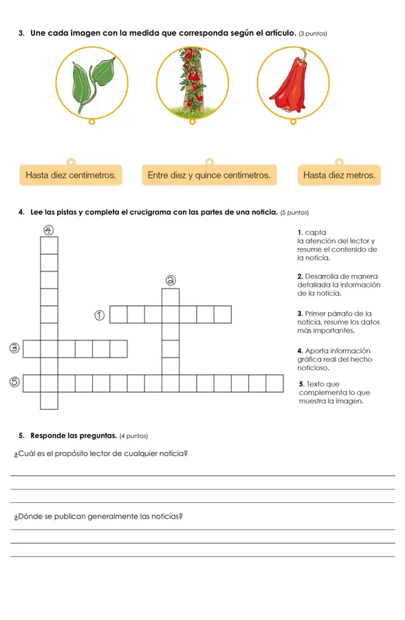 Prueba Textos Informativos 