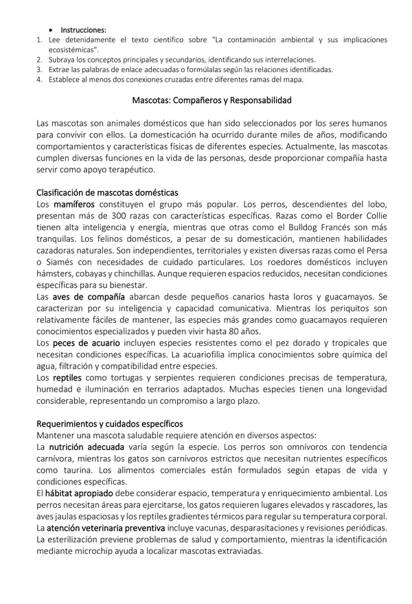 Guía de mapa conceptual