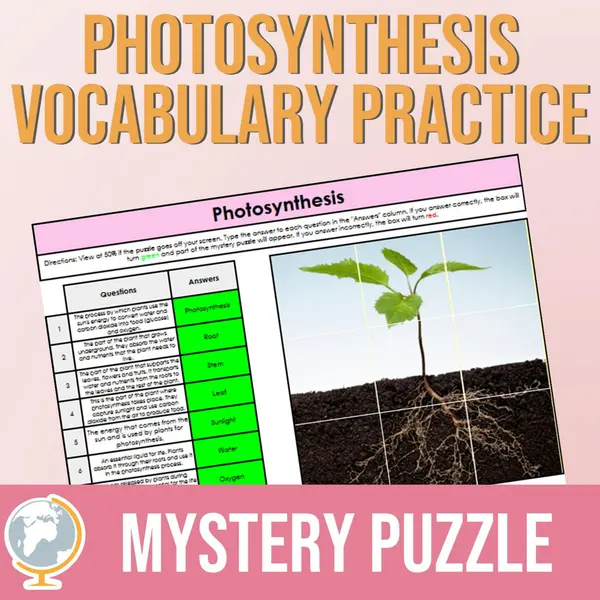 Photosynthesis Mystery Puzzle