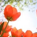 María Cas - @maria.cas