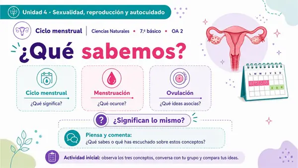 7MO OA 2 CICLO MENSTRUAL 