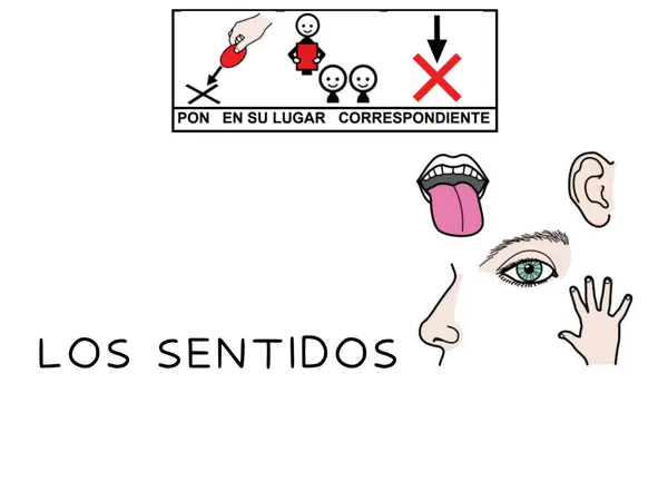 Carpeta TEACCH: LOS SENTIDOS