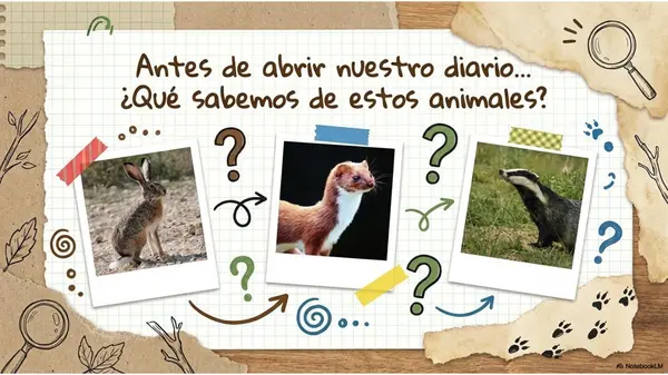 La Liebre - Texto informativo 