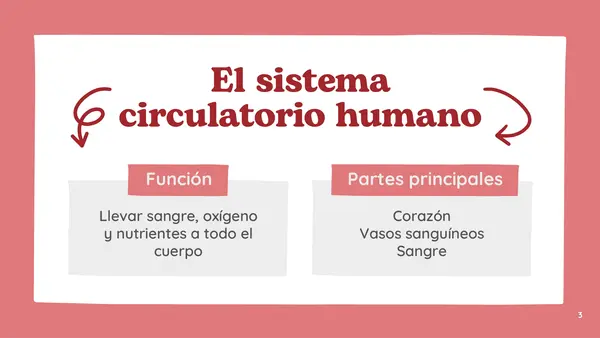 Sistema circulatorio
